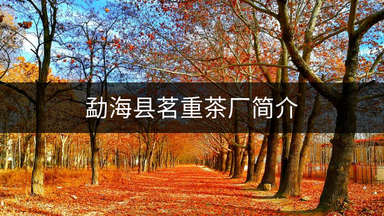 勐海縣茗重茶廠簡介