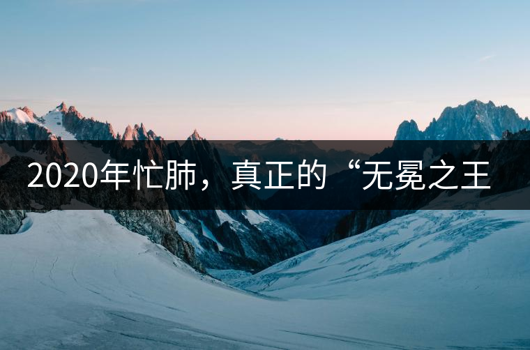 2020年忙肺，真正的“無冕之王”！-易武中聘號