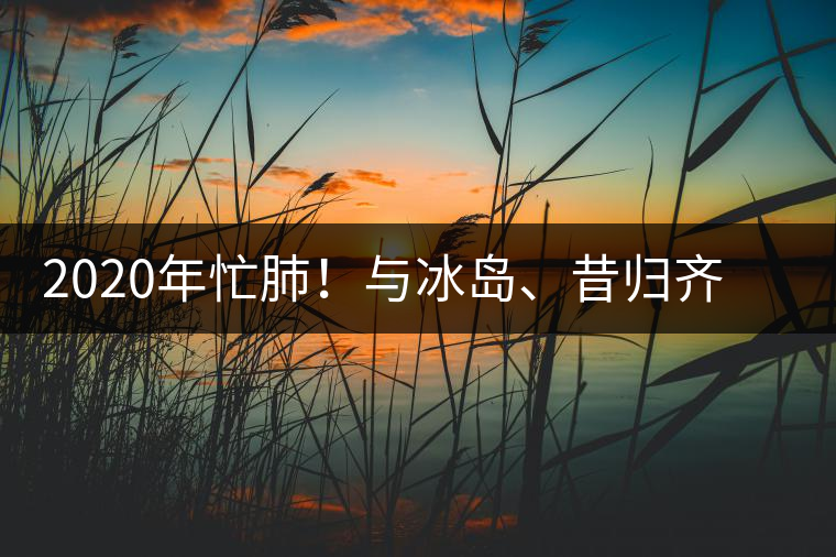 2020年忙肺！與冰島、昔歸齊名的普洱茶，到底是什么味道？-易武中聘號