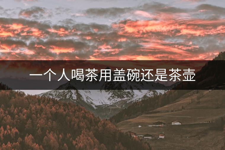 一個(gè)人喝茶用蓋碗還是茶壺