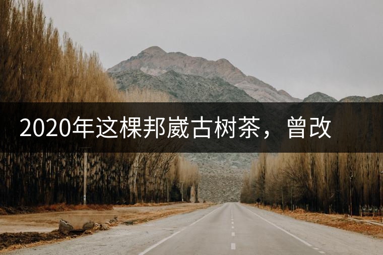 2020年這棵邦崴古樹茶，曾改寫普洱茶歷史！-易武中聘號(hào)