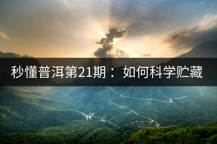秒懂普洱第21期 ：如何科學貯藏普洱茶？