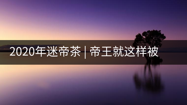 2020年迷帝茶 | 帝王就這樣被迷住了？-易武中聘號