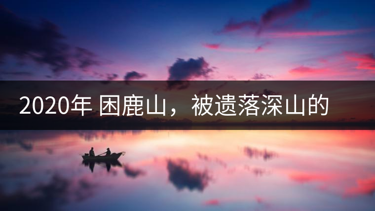 2020年 困鹿山，被遺落深山的皇家古茶園-易武中聘號