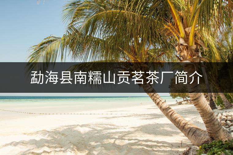 勐?？h南糯山貢茗茶廠簡介