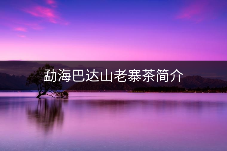 勐海巴達(dá)山老寨茶簡(jiǎn)介 勐海巴達(dá)山老寨茶簡(jiǎn)介
