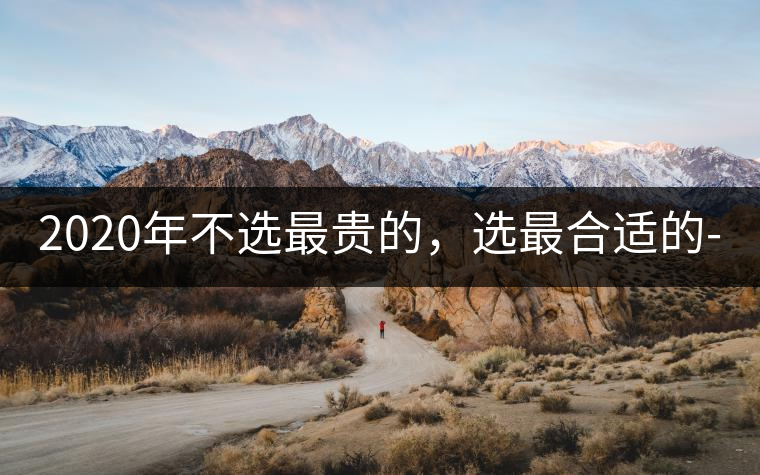 2020年不選最貴的，選最合適的-無(wú)量山古樹(shù)茶 |-易武中聘號(hào)