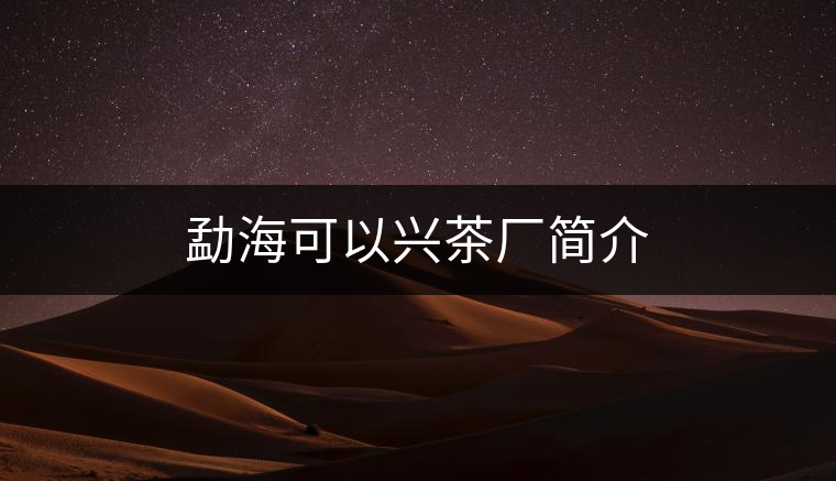 勐?？梢耘d茶廠簡介