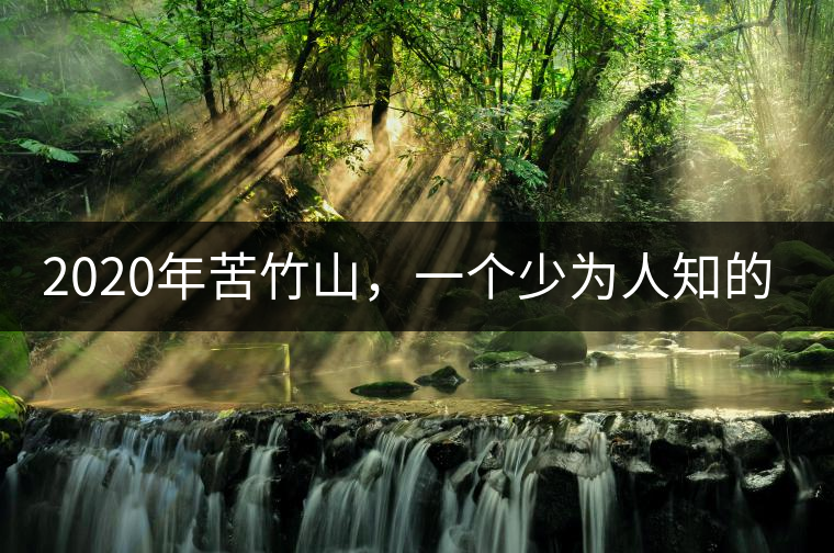 2020年苦竹山，一個少為人知的后起之秀！-易武中聘號