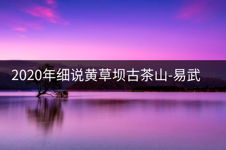 2020年細(xì)說(shuō)黃草壩古茶山-易武中聘號(hào)