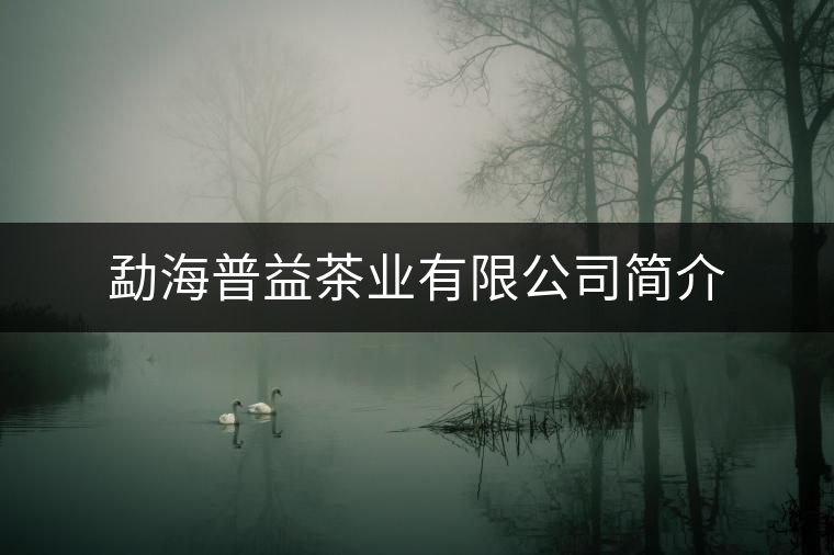 勐海普益茶業(yè)有限公司簡(jiǎn)介 勐海普益茶業(yè)有限公司簡(jiǎn)介