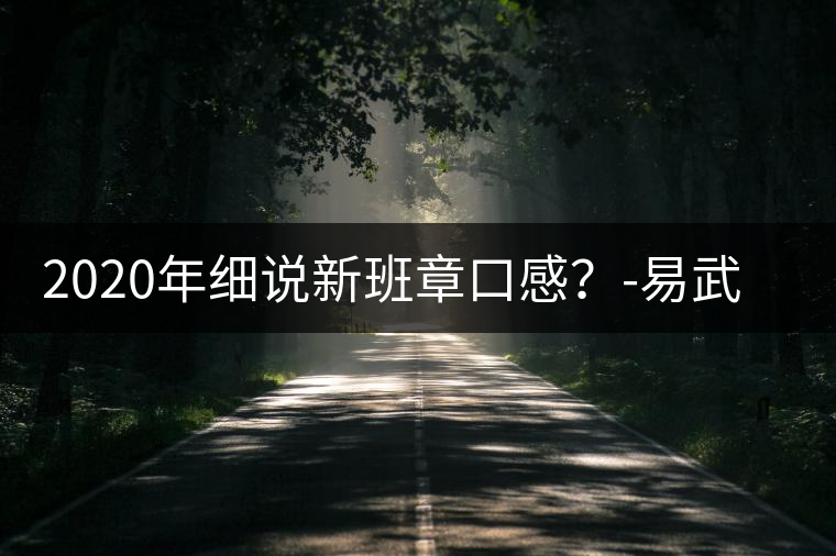 2020年細(xì)說新班章口感？-易武中聘號(hào)