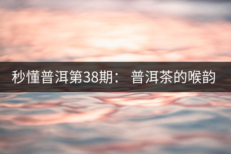 秒懂普洱第38期： 普洱茶的喉韻是什么？