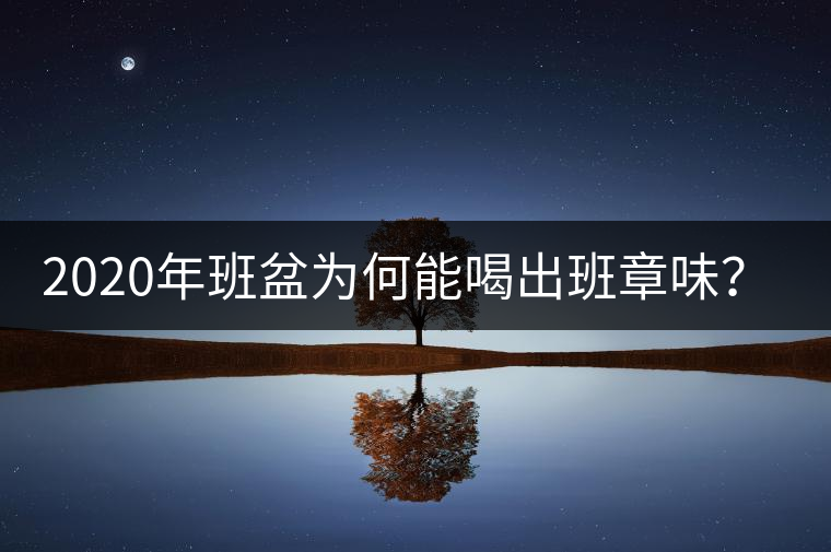 2020年班盆為何能喝出班章味？-易武中聘號