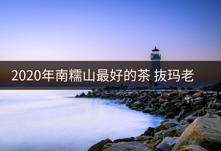 2020年南糯山最好的茶 抜瑪老寨-易武中聘號 2020年南糯山最好的茶 抜瑪老寨-易武中聘號