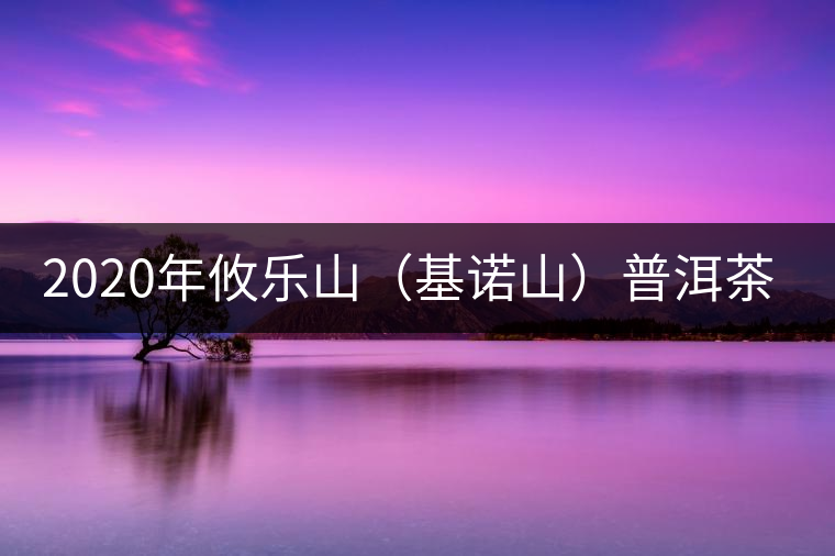 2020年攸樂山（基諾山）普洱茶的特點(diǎn) -易武中聘號(hào)