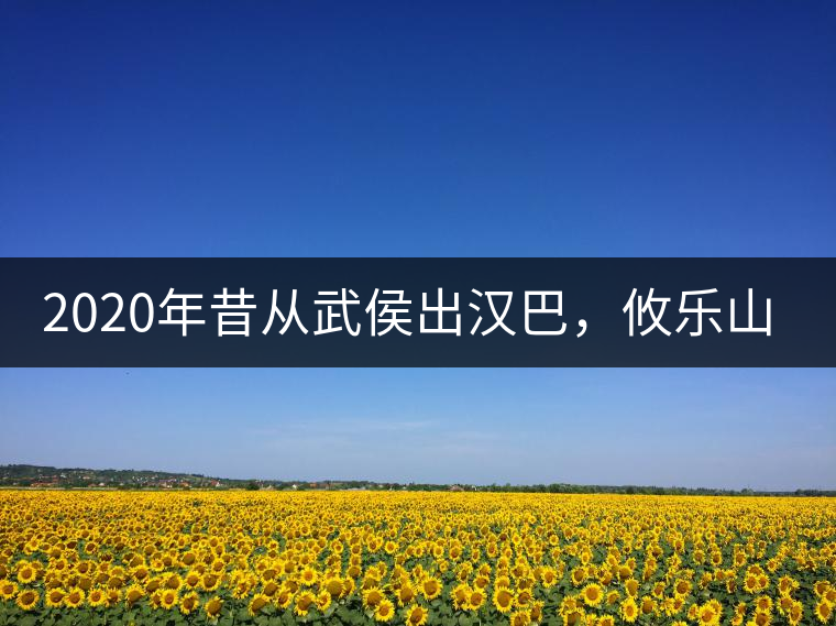 2020年昔從武侯出漢巴，攸樂山中只種茶。-易武中聘號(hào)