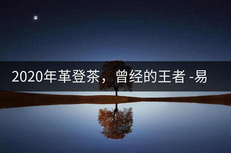 2020年革登茶，曾經(jīng)的王者 -易武中聘號(hào)