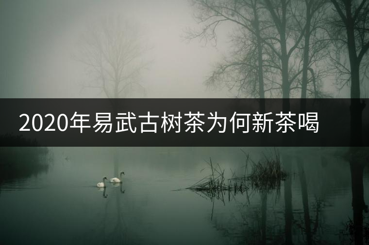 2020年易武古樹茶為何新茶喝時(shí)淡卻越放越濃？-易武中聘號