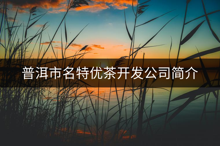 普洱市名特優(yōu)茶開(kāi)發(fā)公司簡(jiǎn)介