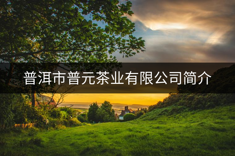 普洱市普元茶業(yè)有限公司簡(jiǎn)介