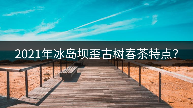 2021年冰島壩歪古樹春茶特點(diǎn)？