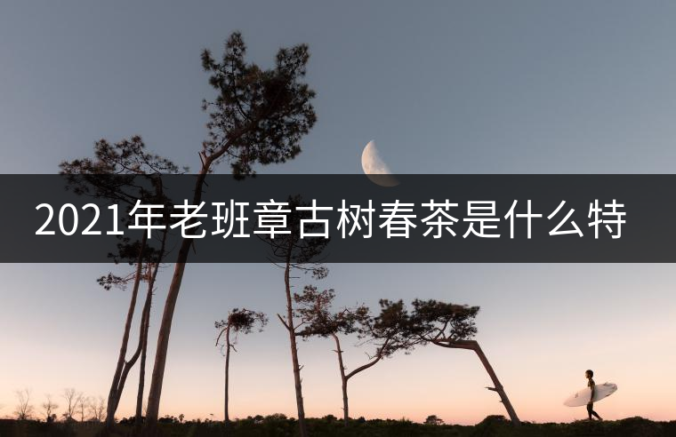 2021年老班章古樹春茶是什么特點(diǎn)？