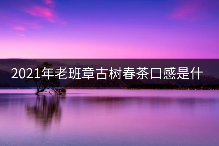 2021年老班章古樹春茶口感是什么？
