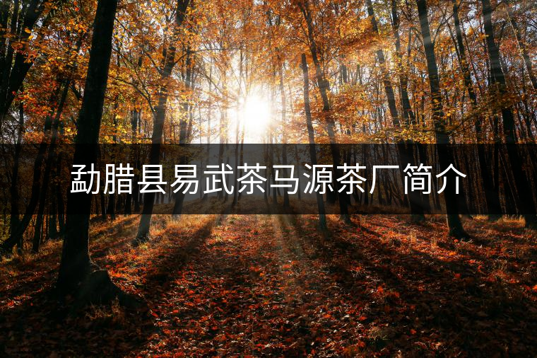勐臘縣易武茶馬源茶廠簡介 勐臘縣易武茶馬源茶廠簡介