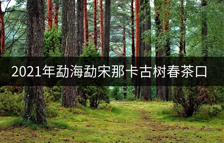 2021年勐海勐宋那卡古樹春茶口感特點(diǎn)？