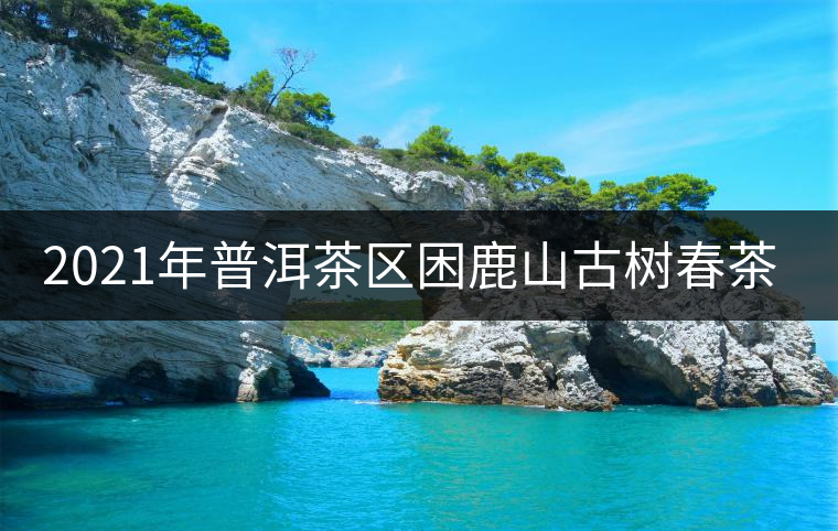 2021年普洱茶區(qū)困鹿山古樹春茶價(jià)格