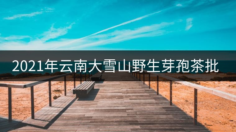 2021年云南大雪山野生芽孢茶批發(fā) 2021年云南大雪山野生芽孢茶批發(fā)