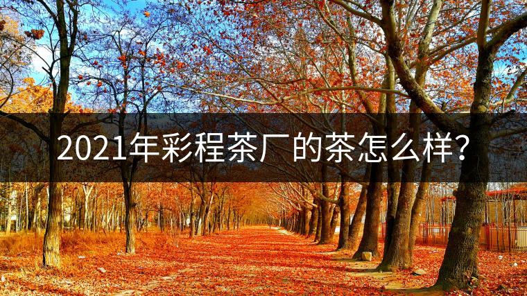 2021年彩程茶廠的茶怎么樣？