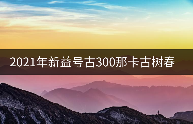 2021年新益號古300那卡古樹春茶口感怎么樣？