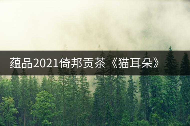 蘊品2021倚邦貢茶《貓耳朵》古樹普洱茶生茶好喝嗎？