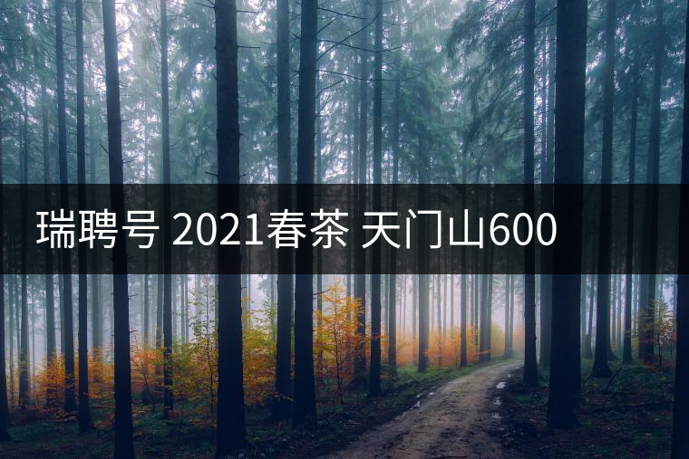 瑞聘號 2021春茶 天門山600 頭春古樹口感怎么樣？