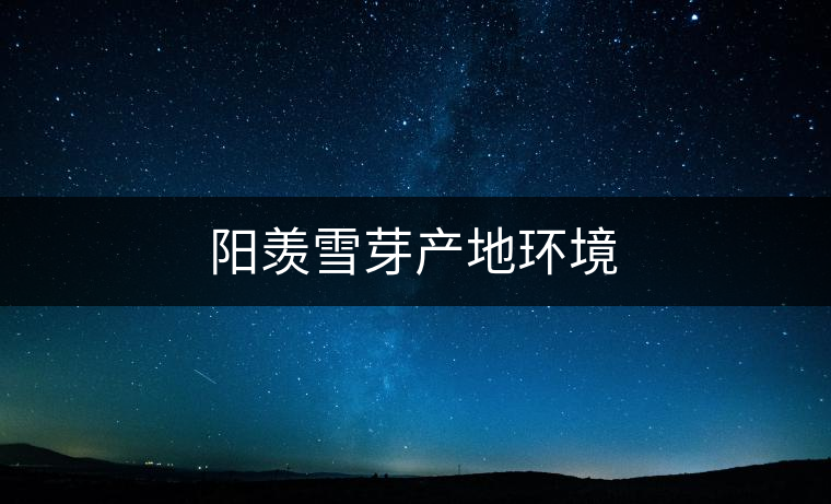 陽羨雪芽產(chǎn)地環(huán)境 陽羨雪芽產(chǎn)地環(huán)境