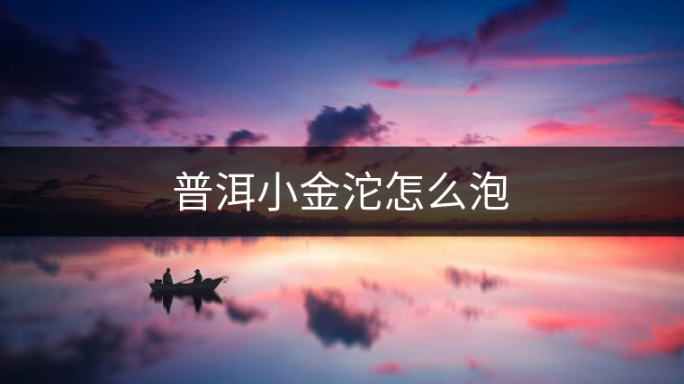 普洱小金沱怎么泡