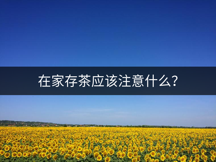 在家存茶應(yīng)該注意什么？