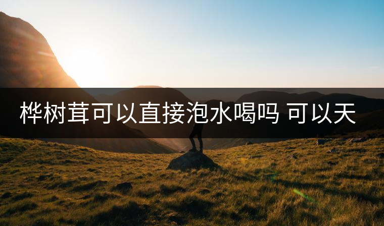 樺樹茸可以直接泡水喝嗎 可以天天喝嗎