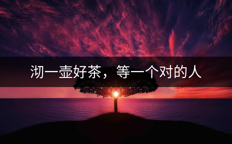 沏一壺好茶，等一個(gè)對(duì)的人