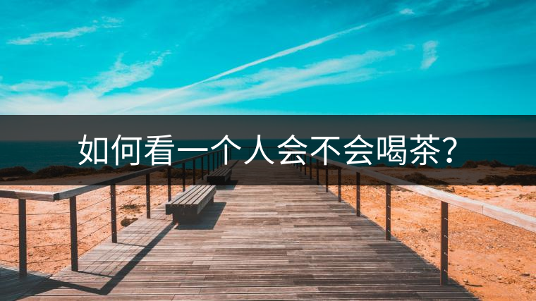 如何看一個人會不會喝茶？