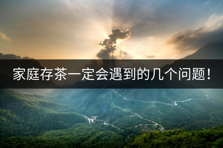 家庭存茶一定會遇到的幾個問題！