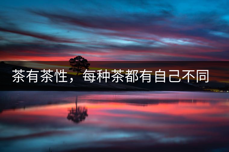 茶有茶性，每種茶都有自己不同的正確泡法