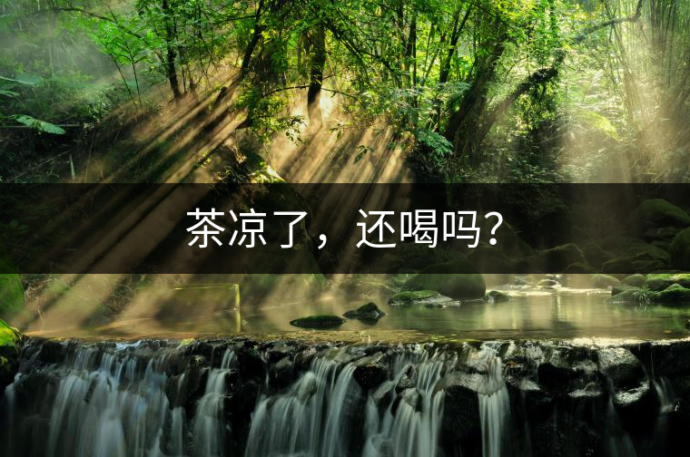 茶涼了，還喝嗎？