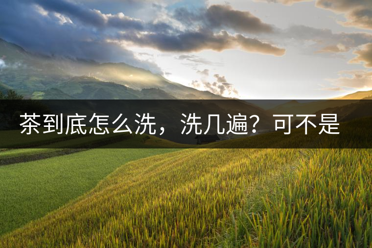 茶到底怎么洗，洗幾遍？可不是倒水進(jìn)去這么簡(jiǎn)單喲