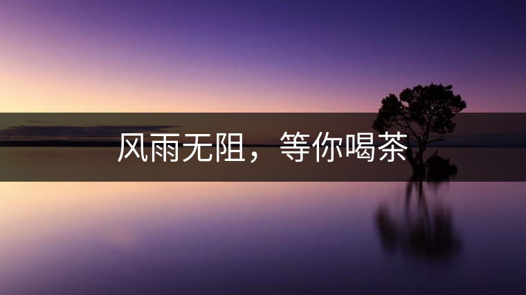 風(fēng)雨無(wú)阻，等你喝茶