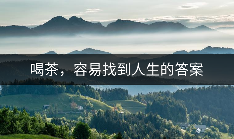 喝茶，容易找到人生的答案