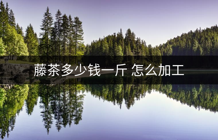 藤茶多少錢一斤 怎么加工 藤茶多少錢一斤 怎么加工