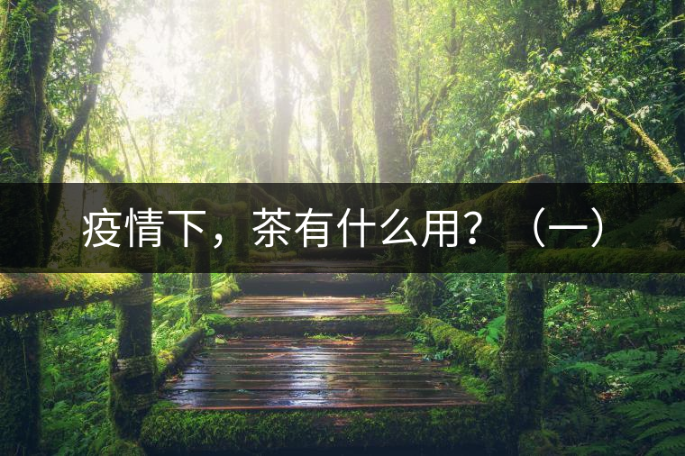 疫情下，茶有什么用？（一）